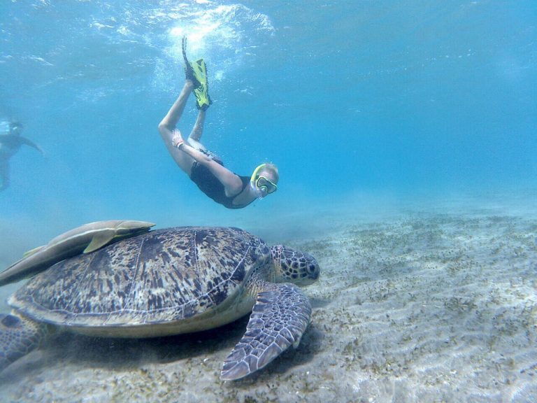 Read more about the article Erfahrungen in Marsa Alan – Ägypten