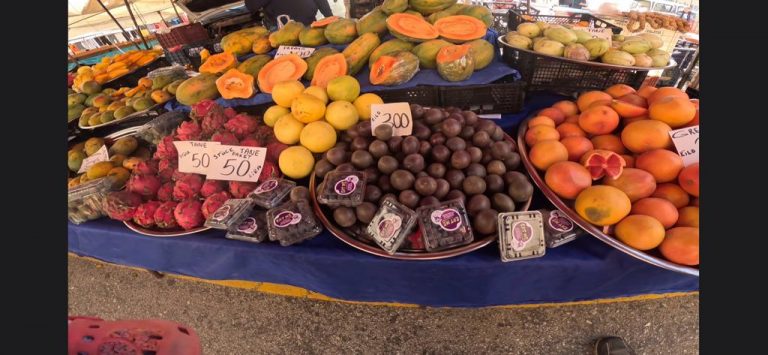 Read more about the article 5 Wochen am Mittelmeehr – zwischen Palmen in Kizilot